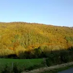 Haus Wilhelmstal Mit Eigener Wellness Oase By Interhome